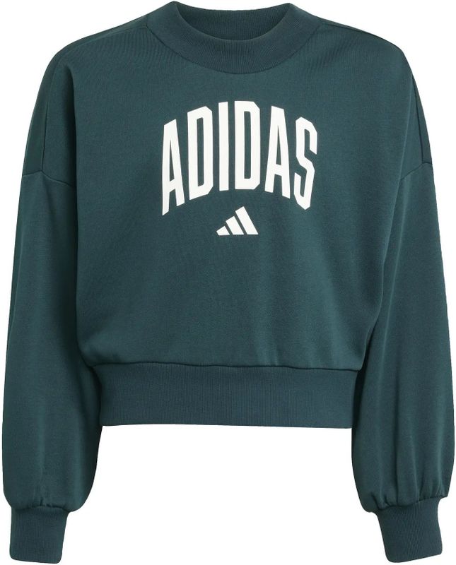 Aurora Ivy - Sweater - Ronde Hals - 70% Katoen, 30% Polyester