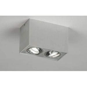 Aluminium plafondlamp voorzien van twee kantelbare spots.