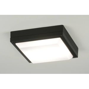 Zwart / witte plafondlamp voor buiten of natte ruimtes.