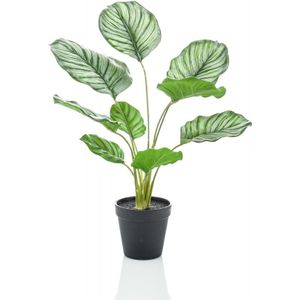 Emerald-Kunstplant-in-pot-calathea-orbifolia-45-cm