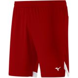Shorts Mizuno training