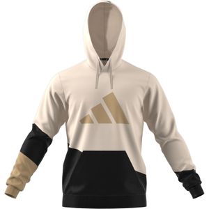 Sweatshirt mit Kapuze adidas Sportswear Colorblock