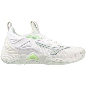 Hallenschuhe Mizuno Wave Momentum 3