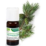 Phytosun Essentiële Olie Grove Den Bio – verzacht de luchtwegen 5ml