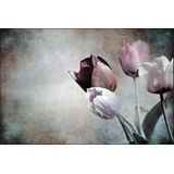 Fotobehang - Vintage Tulpen, prachtig aan de wand, te koop in 11 maten, incl behanglijm