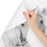 Fotobehang - Twee Schimmels, Paarden, zwart/wit, premium print, inclusief behanglijm