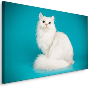 Schilderij - Witte Kat met Blauwe achtergrond, Premium print