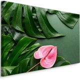 Schilderij - Roze bloem met Monstera Bladeren, Premium Print