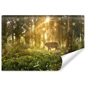 Fotobehang - Hert in zonnig bos, premium print, inclusief behanglijm