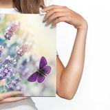 Schilderij -  Lavendel en Vlinders  , Wanddecoratie , Premium print