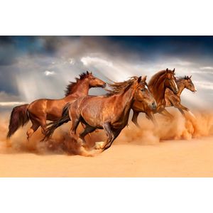 Fotobehang - Galopperende Paarden in de Woestijn, 11 maten, premium print, inclusief behanglijm