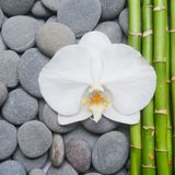 Fotobehang - Bamboe, Orchidee en stenen, Spa, Inspiratie, in 11 maten, inclusief behanglijm