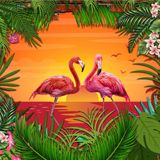 Fotobehang - Flamingo's, roze/groen, ook mooi in de kinderkamer, 11 maten, incl behanglijm