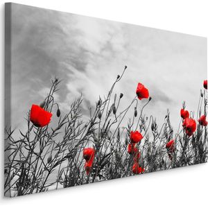 Schilderij - Rode klaprozen, zwart-wit veld, premium print