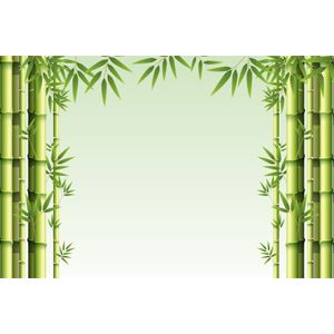 Fotobehang - Bos van Bamboe, Groen, Prachtige achtergrond, in 11 maten, incl behanglijm