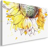 Schilderij - Geschetste zonnebloem (print op canvas), premium print