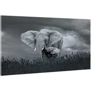 Schilderij - Moeder en baby olifant, Zwart-Wit,  2 maten, Premium print