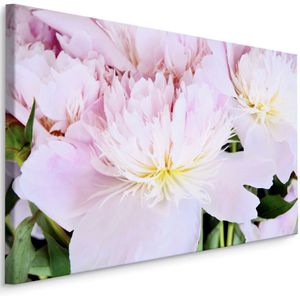 Schilderij - Roos in het roze, eyecatcher voor aan de wand, premium print