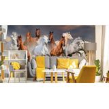 Fotobehang - Kudde galopperende paarden, 11 maten, premium print, inclusief behanglijm