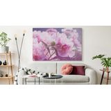 Schilderij - Roze Pioenrozen , print op  canvas, premium print , Wanddecoratie