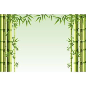 Fotobehang - Bos van Bamboe, Groen, Prachtige achtergrond, in 11 maten, incl behanglijm