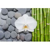Fotobehang - Bamboe, Orchidee en stenen, Spa, Inspiratie, in 11 maten, inclusief behanglijm