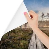 Fotobehang - Houten pad door het bos, premium print, inclusief behanglijm