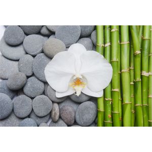 Fotobehang - Bamboe, Orchidee en stenen, Spa, Inspiratie, in 11 maten, inclusief behanglijm