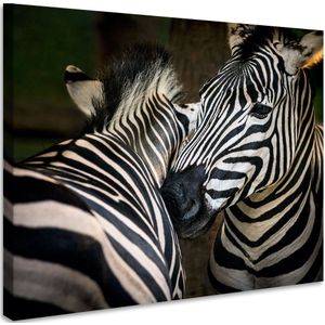 Schilderij - Zebra's , premium print, 3 maten