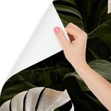 Fotobehang - Wit en groene monstera bladeren, premium print, inclusief behanglijm