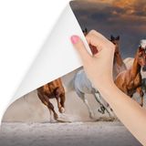 Fotobehang - Kudde galopperende paarden, 11 maten, premium print, inclusief behanglijm