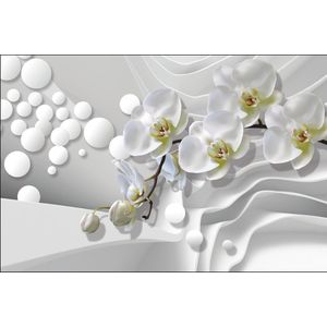 Fotobehang - Witte Orchideeën in het abstracte, wit/grijs/groen, Premium print vinyl, 11 maten, voor woon en slaapkamer, incl instructies en behanglijm