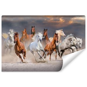 Fotobehang - Kudde galopperende paarden, 11 maten, premium print, inclusief behanglijm