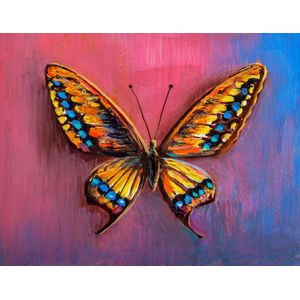 Afbeelding op acrylglas - Vlinder in kleuren, 3 maten