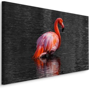 Schilderij - Flamingo in het water, 4 maten, roze/grijs, Premium print