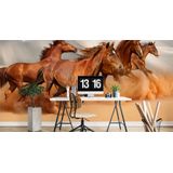 Fotobehang - Galopperende Paarden in de Woestijn, 11 maten, premium print, inclusief behanglijm