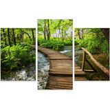 Schilderij - Houten loopbrug in het bos, 3 luik, premium print