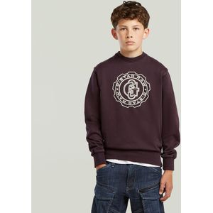 ALD Crew Sweater voor jongens - Bruin - jongens