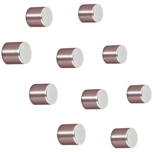 Sigel Neodymium magneet C5 Strong (Ø x h) 10 mm x 10 mm cilinder Zilver 10 stuk(s) BA701