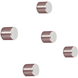 Sigel Neodymium magneet C5 Strong (Ø x h) 10 mm x 10 mm cilinder Zilver 5 stuk(s) BA700