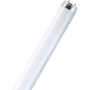 OSRAM TL-lamp Energielabel: G (A - G) G13 58 W Koudwit Buis (Ø x l) 25.5 mm x 1514.2 mm 1 stuk(s)