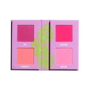 Made By Mitchell Mini Blursh Book Pressed Blusher Palette Make-up Palette, Living In Pink, 1 st