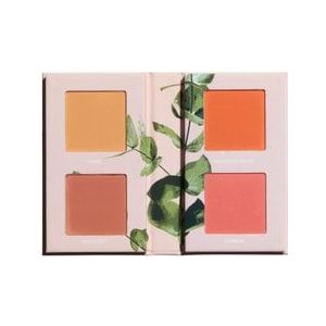 Made By Mitchell Mini Blursh Book Pressed Blusher Palette Make-up Palette, Grow Your Peach, 1 st
