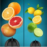 Cecotec - Essentialvita Hyden 600 - Sapcentrifuge - Zilver - 600 Watt