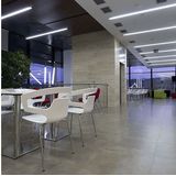 LED - T8 Buiskleur - Koel Wit - 90 cm - 14W