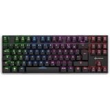 Sharkoon PureWriter TKL RGB toetsenbord USB QWERTY Amerikaans Engels Zwart