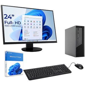 Sedatech Pakket Mini-PC Werkstation ITX • AMD Ryzen 5 8500G • Radeon Vega • 32Gb DDR5 • 2Tb SSD M.2 • DVD-RW • Win 11 • Monitor 24''