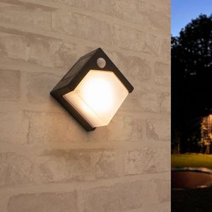 Solar wandlamp prism met bewegingssensor en warm wit licht