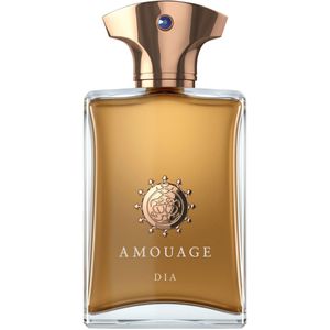 AMOUAGE Iconic Dia Man Eau de Parfum 100 ml