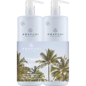 Paul Mitchell Awapuhi Wild Ginger Save Big Hydrate Duo